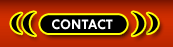 Transsexuals Phone Sex Contact Montreal